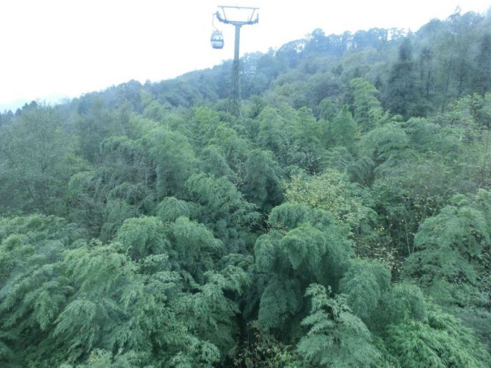 Ein Gondel, Made by Doppelmayr
