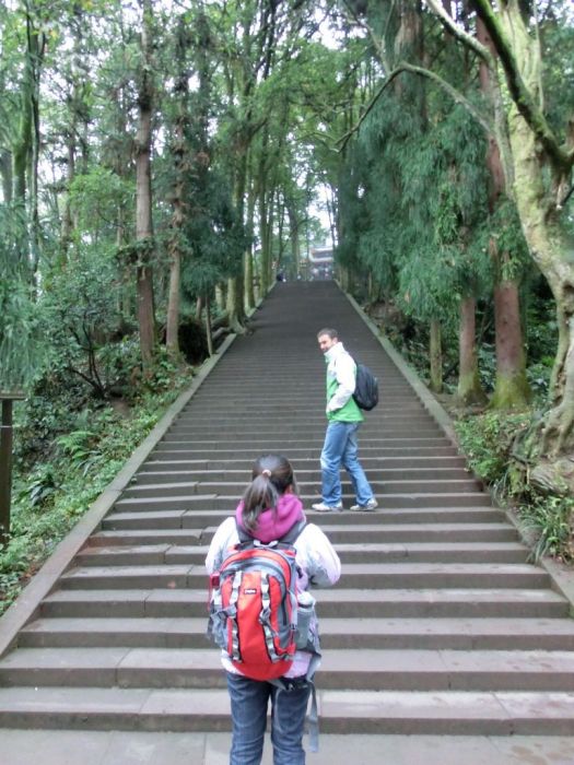 Stufen, Stufen, Stufen
