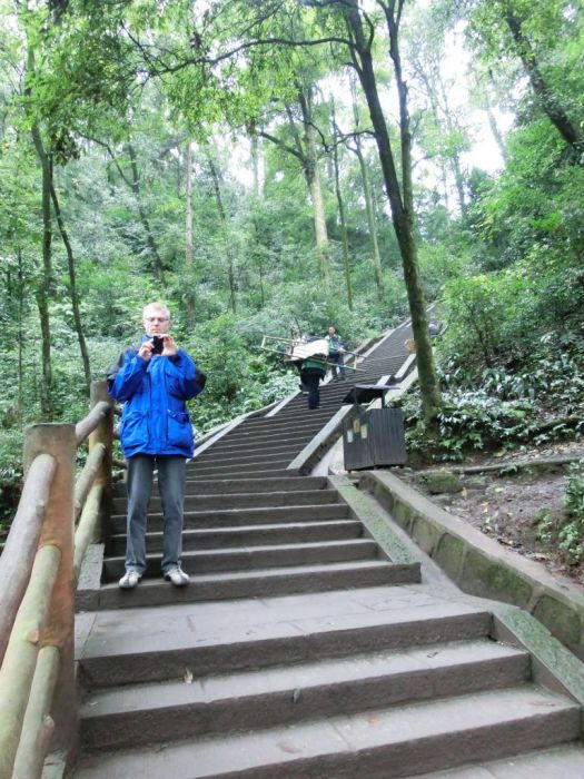 die Stufen sind f�r Europ�er gew�hnungsbed�rftig, weil sehr flach
