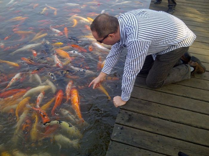 hab versucht einen zu erwischen
