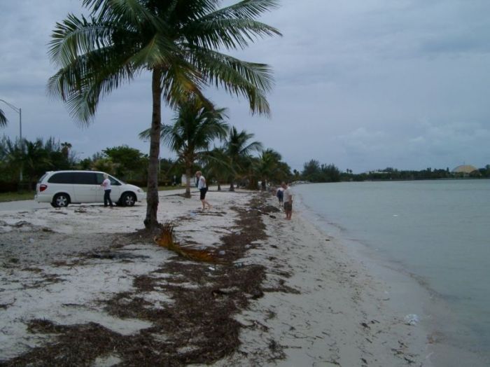 Das erste mal am Strand
