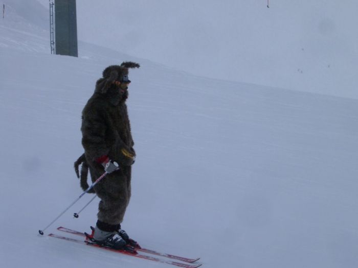 Auch seltsame Tiere waren unterwegs
