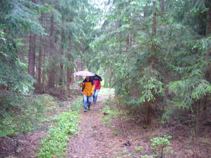 auch am Heimweg regnets noch
